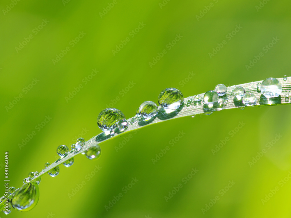 water drops