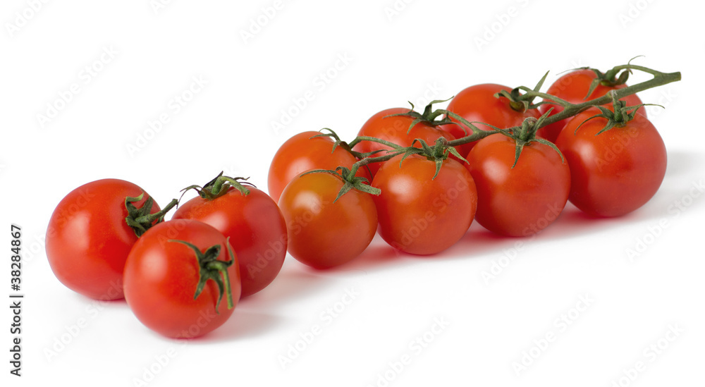 Ripe fresh cherry tomatoes on branch