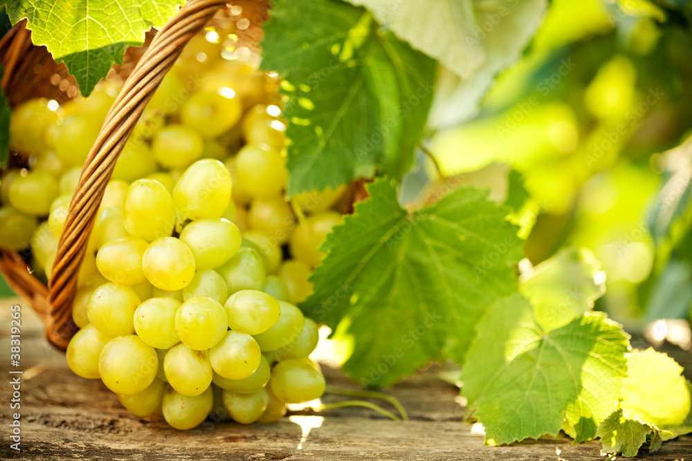 Bunch of grapes with green vine leaves