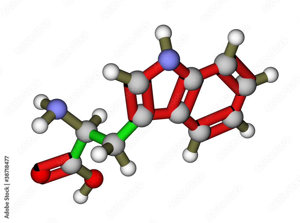 色氨酸分子结构