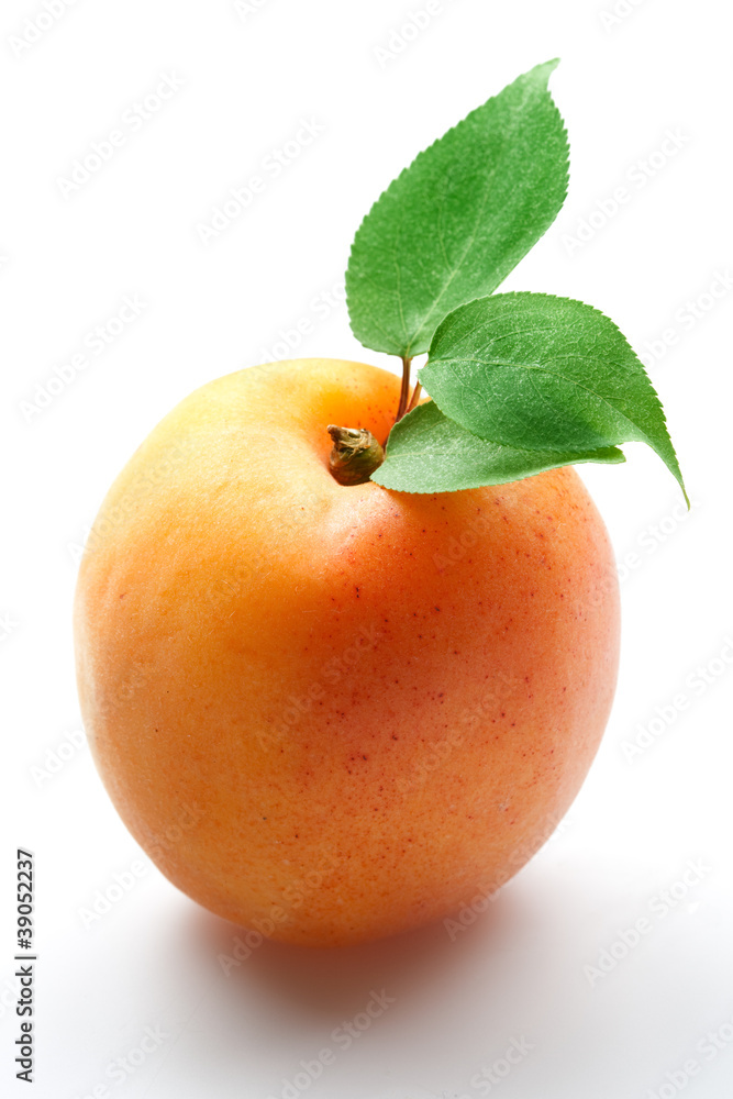 Apricot with leaves on a white background.