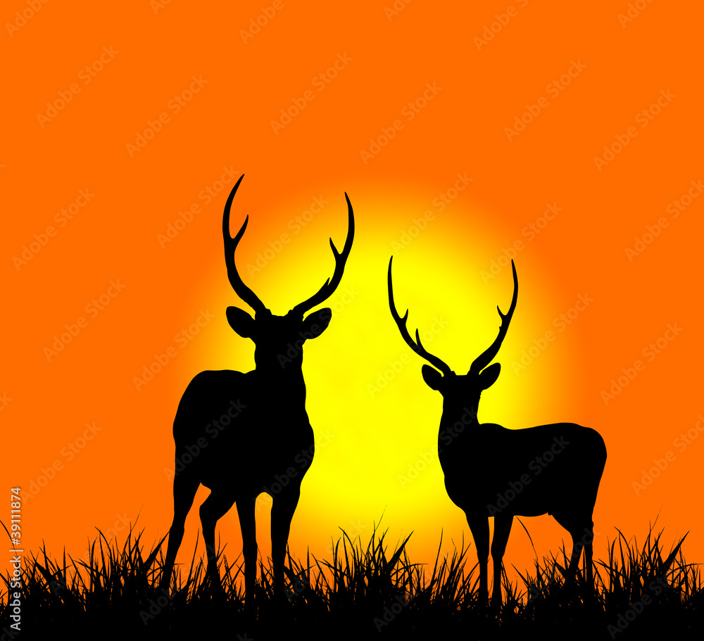 silhouette of deer