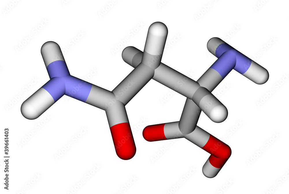 氨基酸天冬酰胺3D分子模型