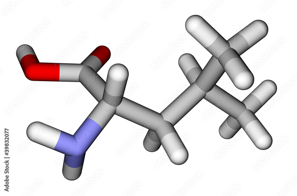 必需氨基酸亮氨酸3D分子模型