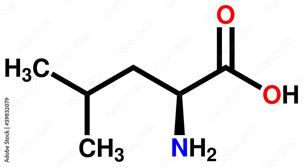 必需氨基酸亮氨酸结构式