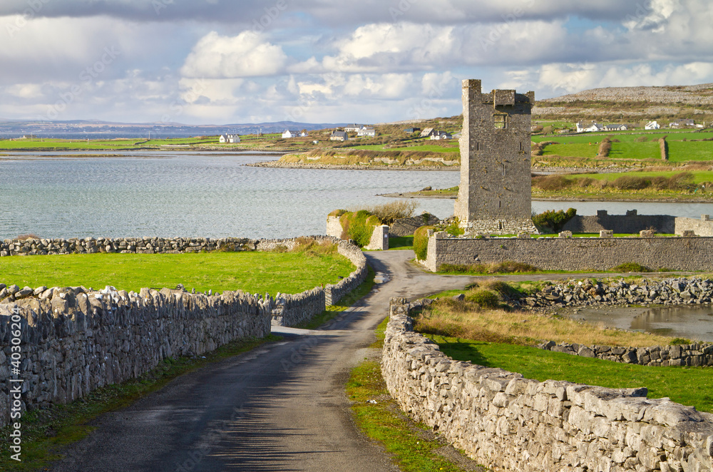 Ruins of Shanmuckinish Castle near Muckinish West, Ireland