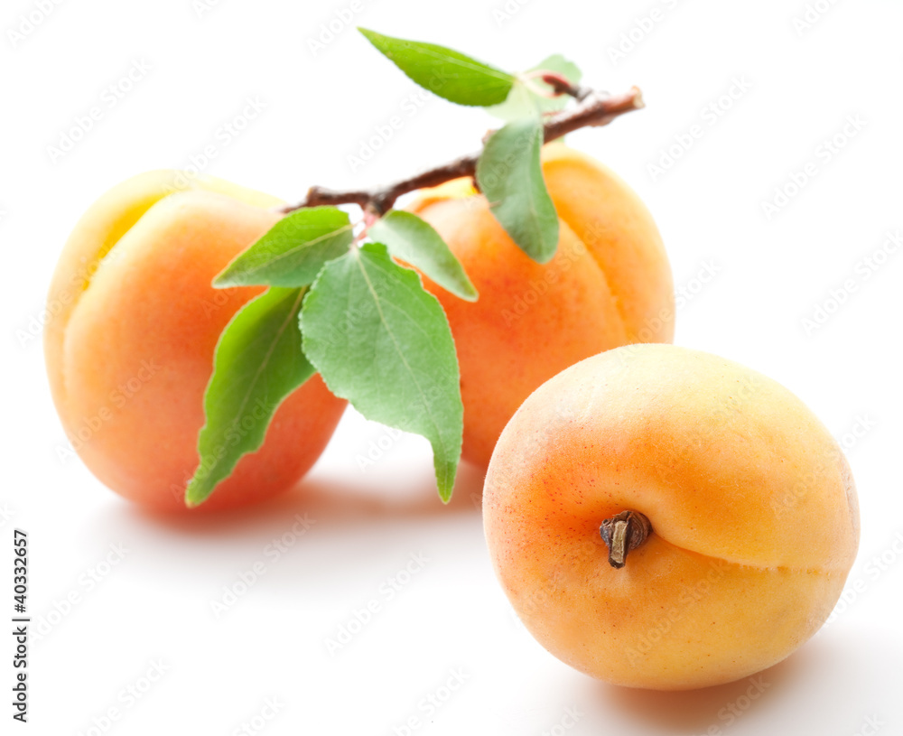 Apricot with leaf on a white background.