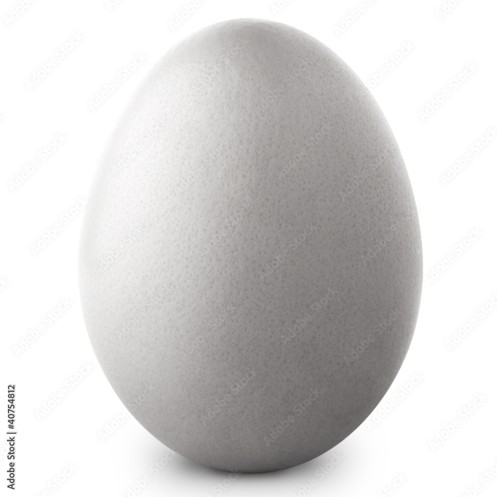 White egg isolated on white background + Clipping Path