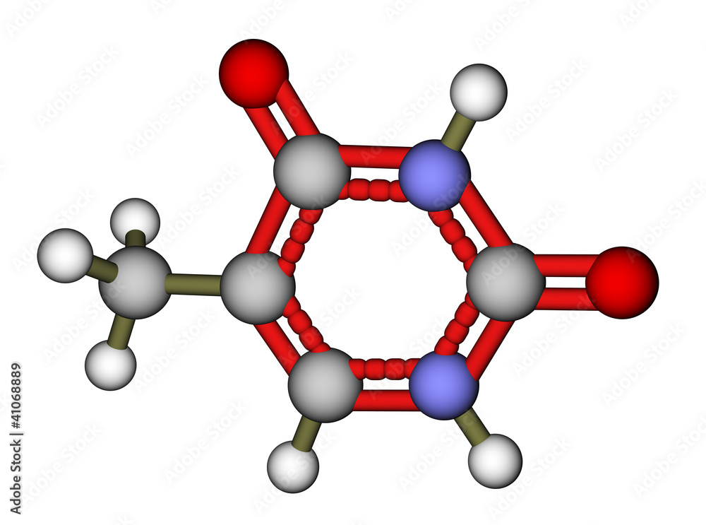 核苷酸胸腺嘧啶球棒分子模型