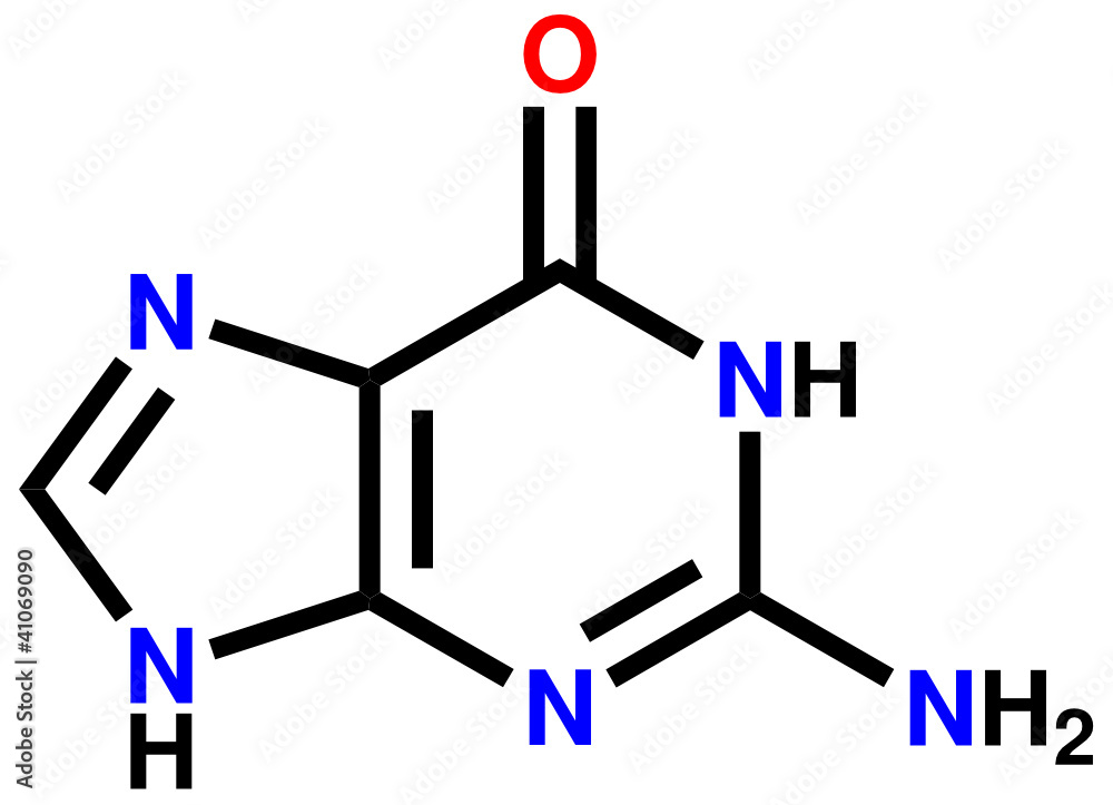 Nucleobase guanine structural formula