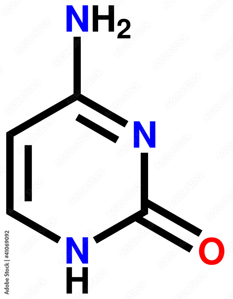 碱基胞嘧啶结构式