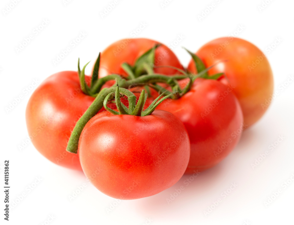 fresh red tomatoes