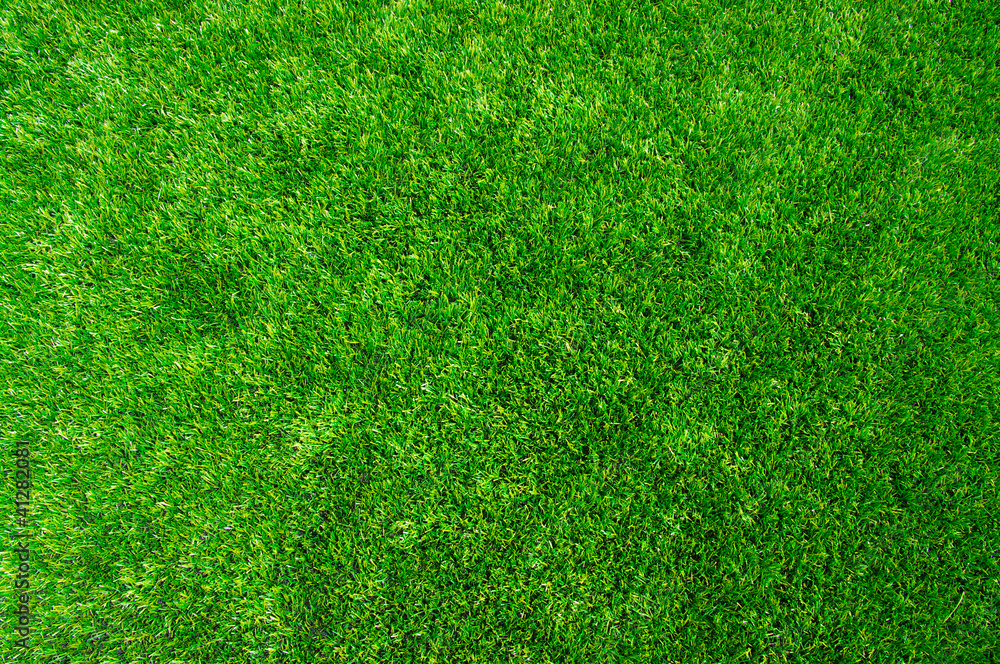 Texture green lawn