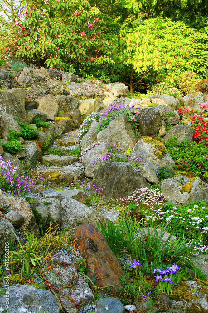 Rock garden