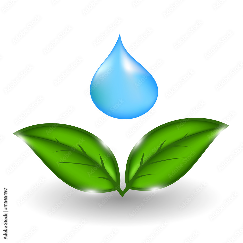 water drop with green leaves. Vector illustration