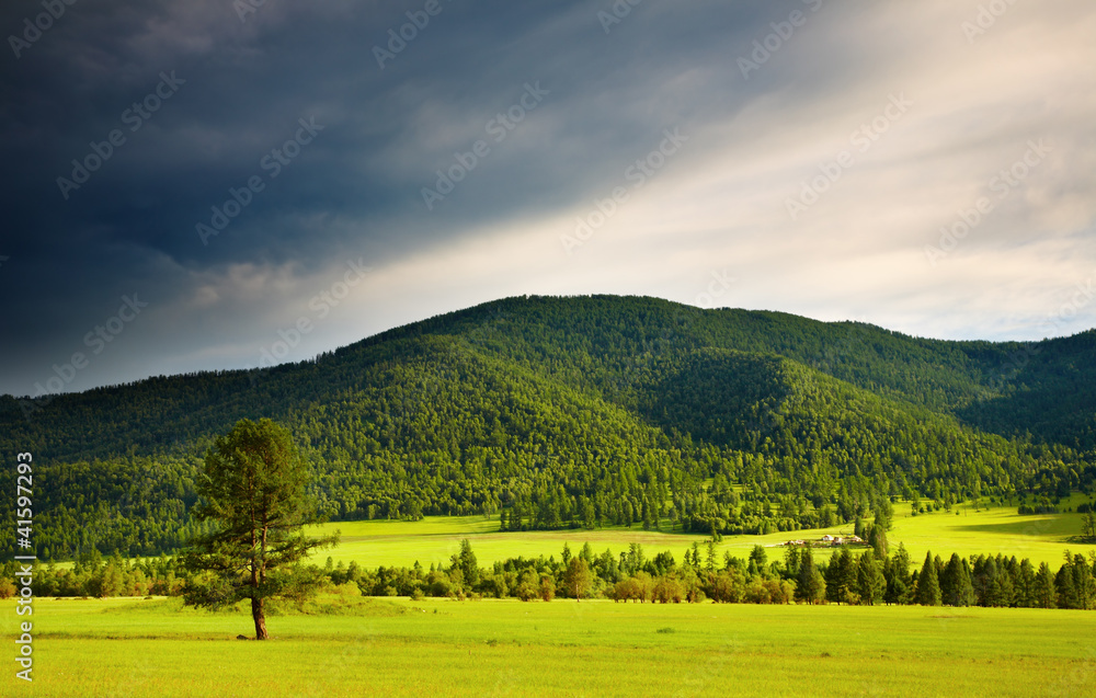 Mountain landscape