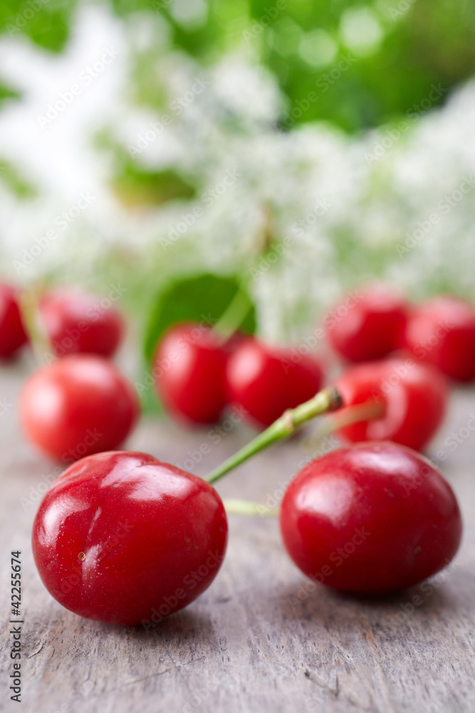 fresh red cherries