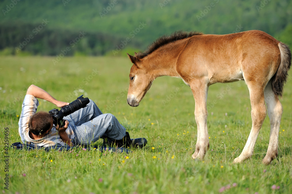 Photographer