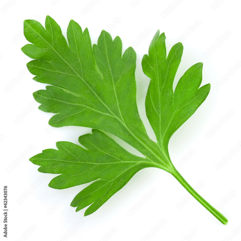 Parsley