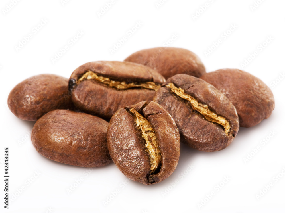 coffee beans isolated on white background. Studio macro