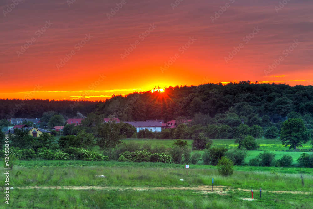 Summer sunset over the forest in Poland