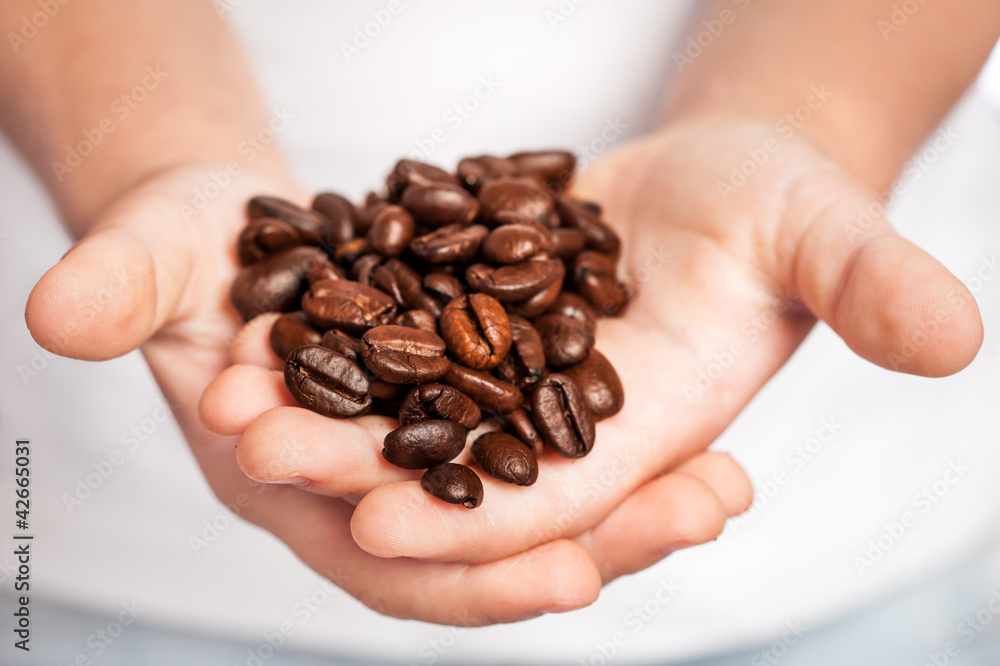 Coffee beans in children`s hands