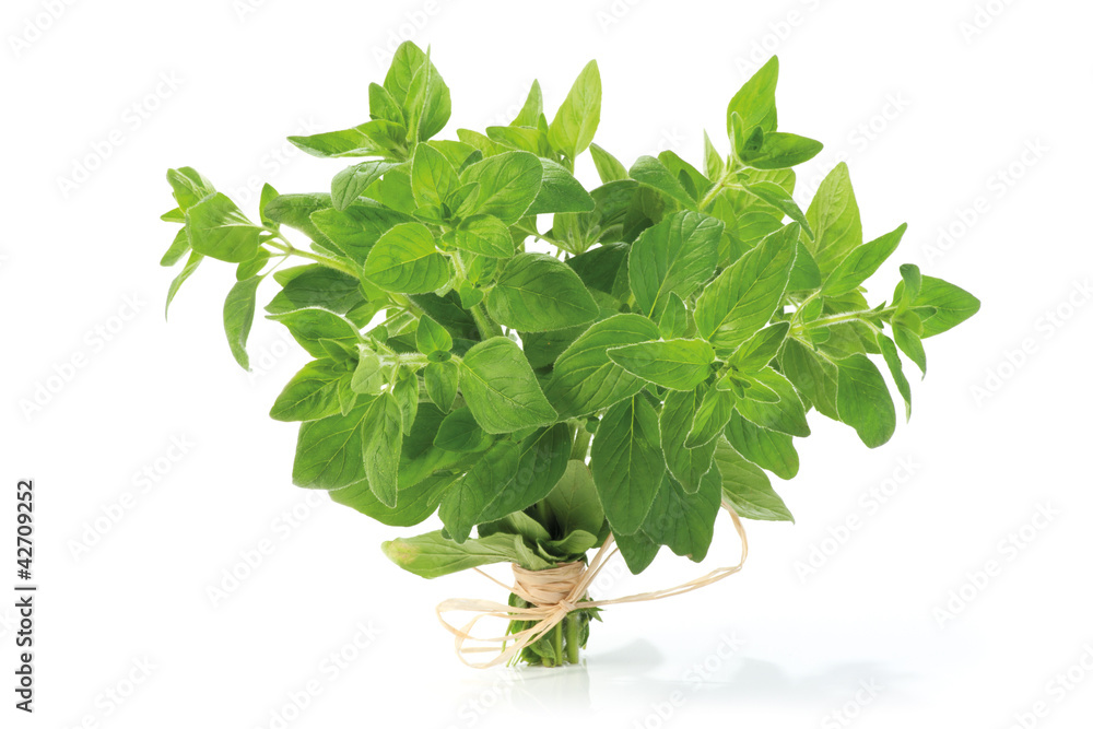 Oregano bunch