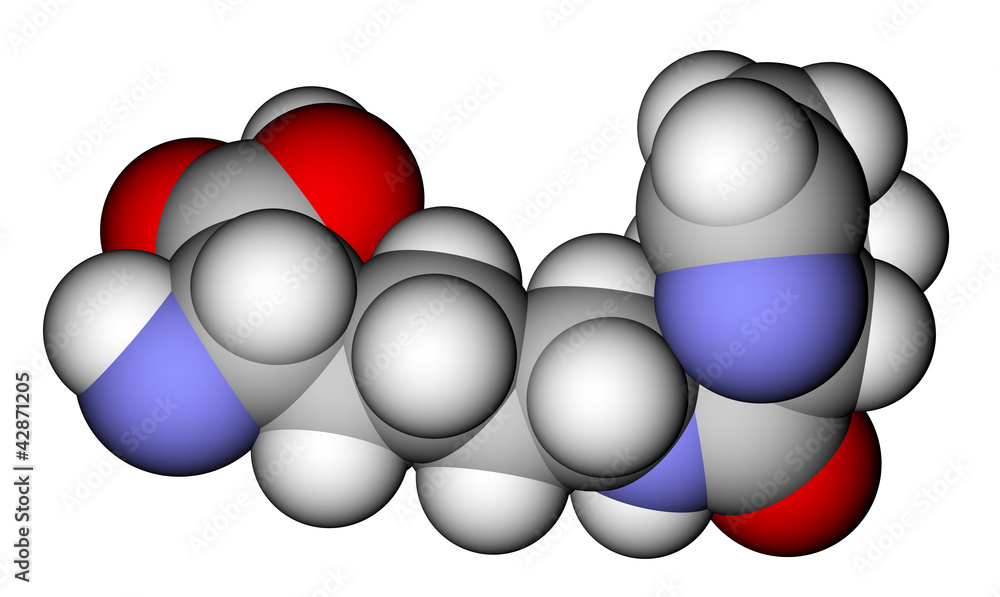 氨基酸吡咯赖氨酸空间填充分子模型