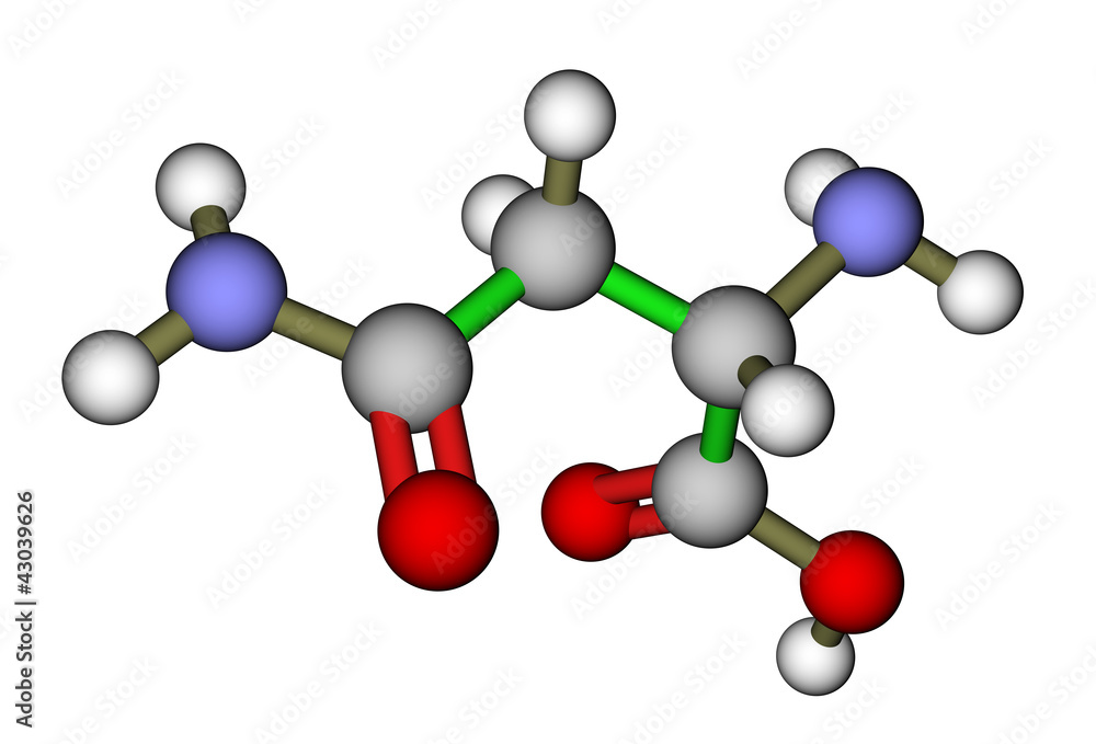 氨基酸天冬酰胺3D分子结构