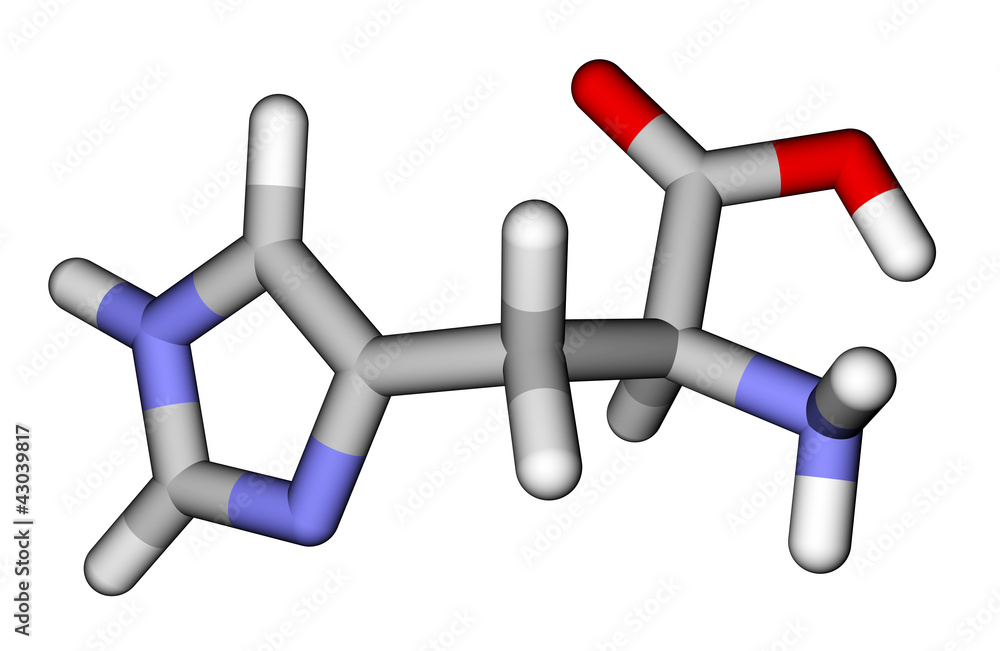 必需氨基酸组氨酸3D分子模型