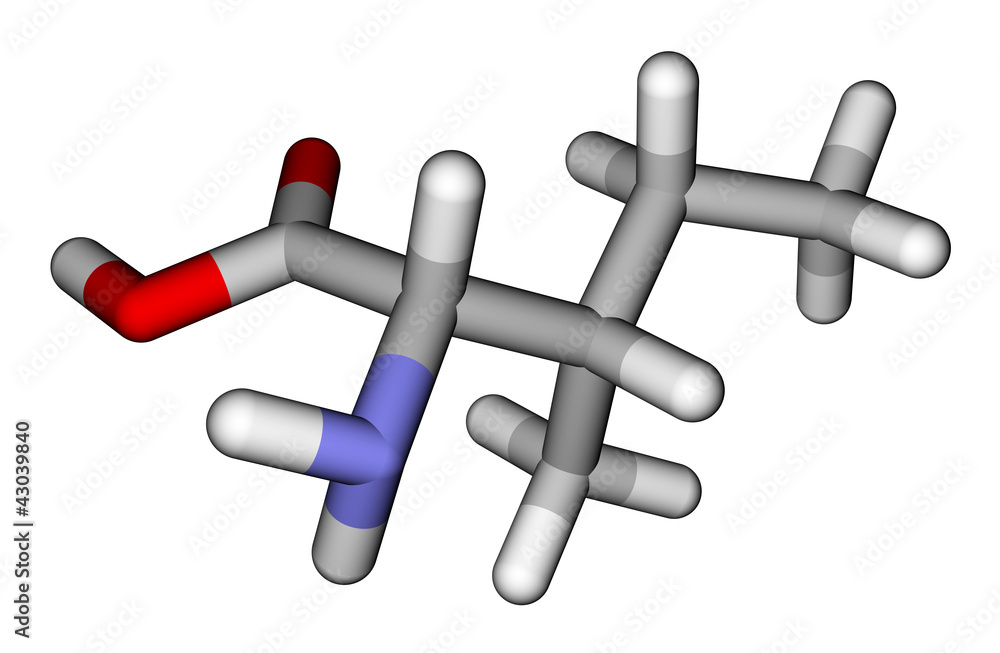 必需氨基酸异亮氨酸3D分子模型