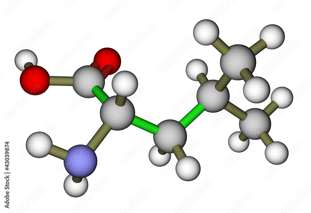 必需氨基酸亮氨酸分子结构