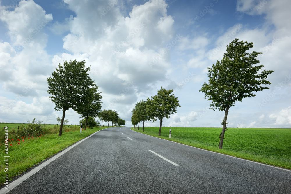 多云道路