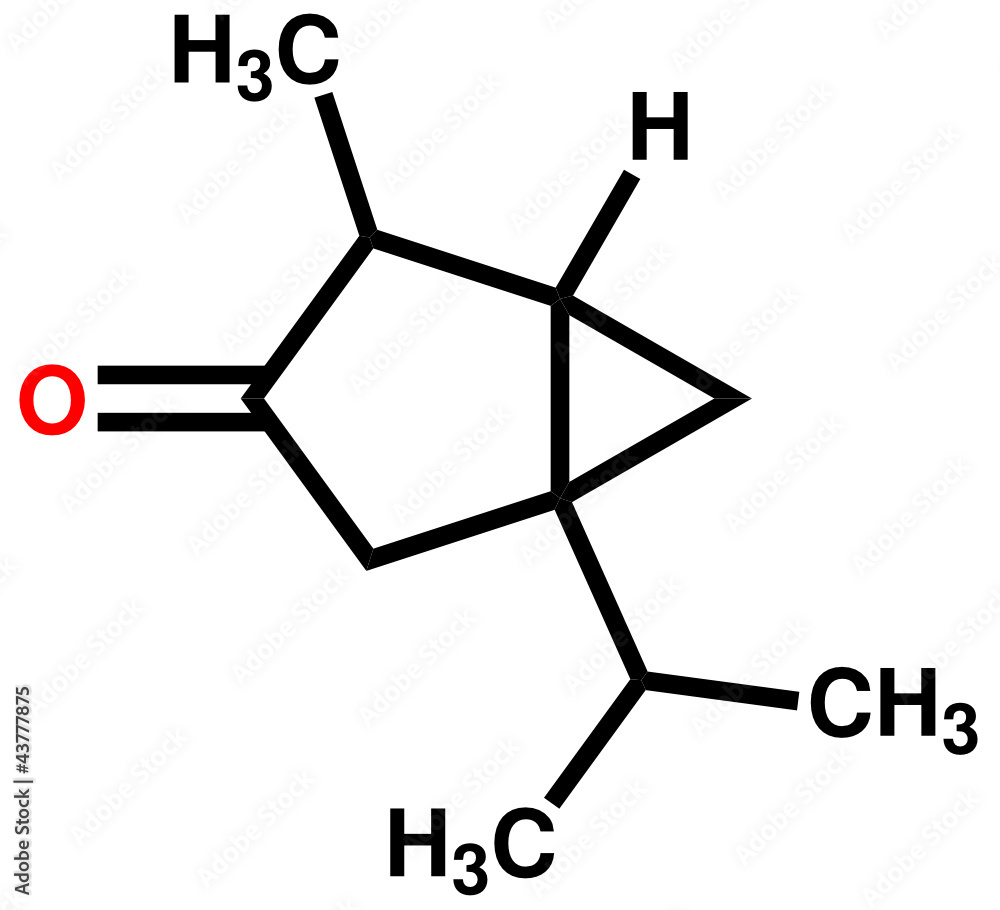 Thujone，具有薄荷醇气味的化合物，苦艾酒的成分