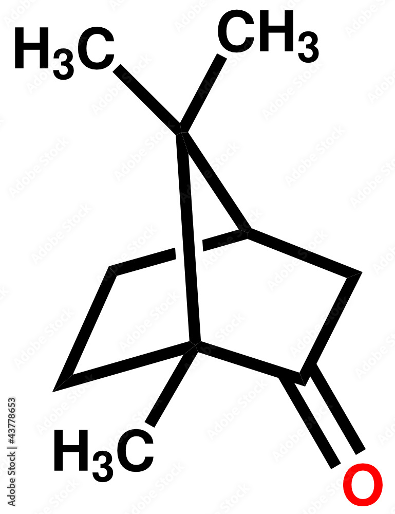 樟脑结构式