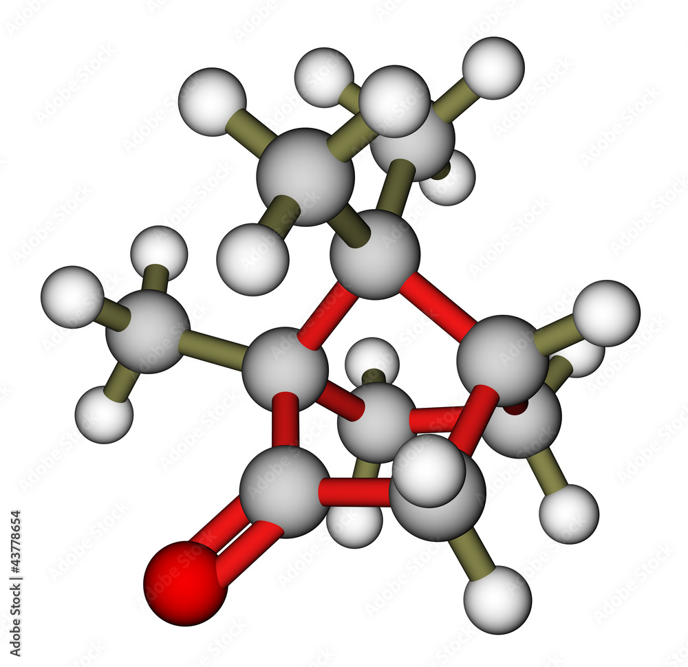 Camphor 3D分子模型