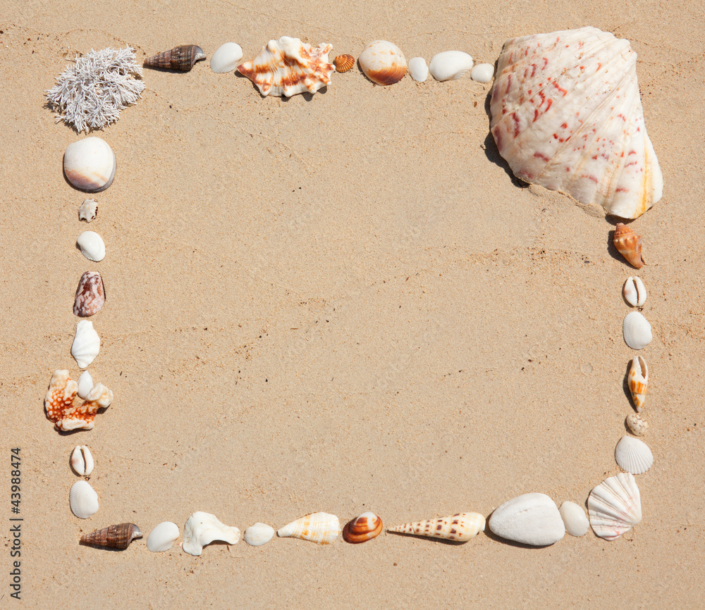 Seashells  picture frame