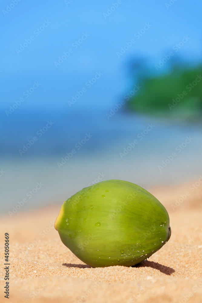 green coconut fell on beach