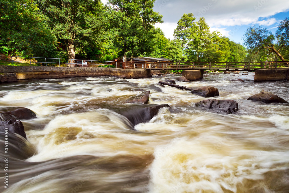 Salmon cascades in southern Sweden