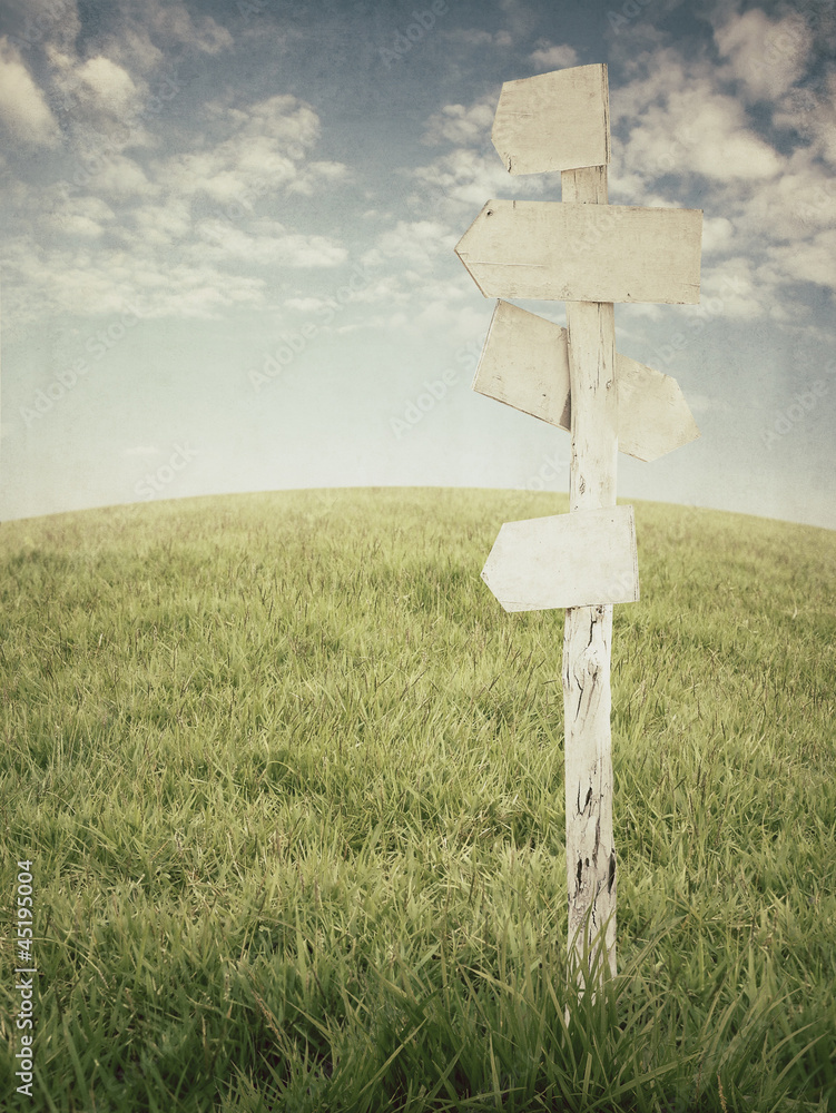 wooden signpost with grass and blue sky