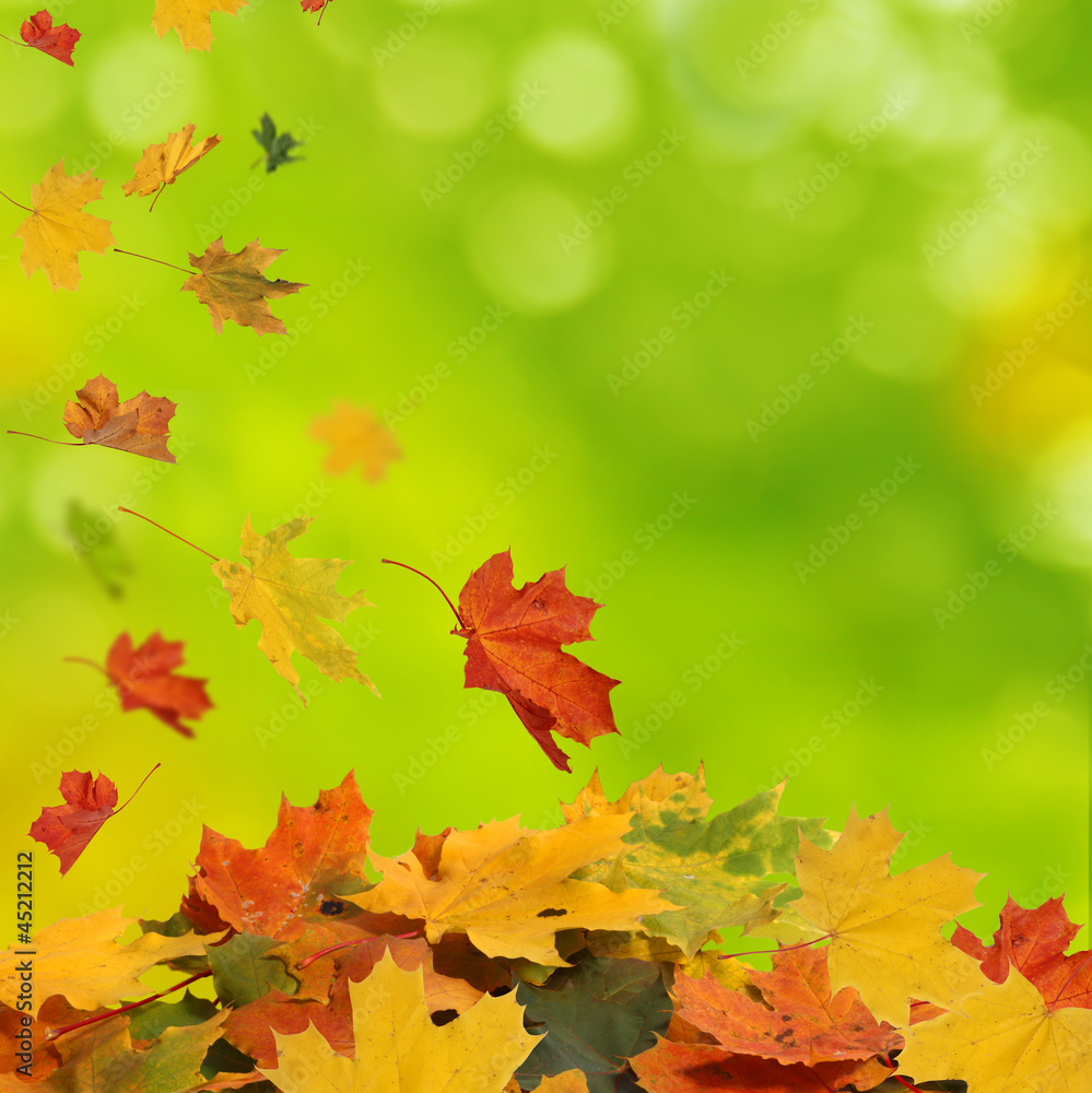 autumn background