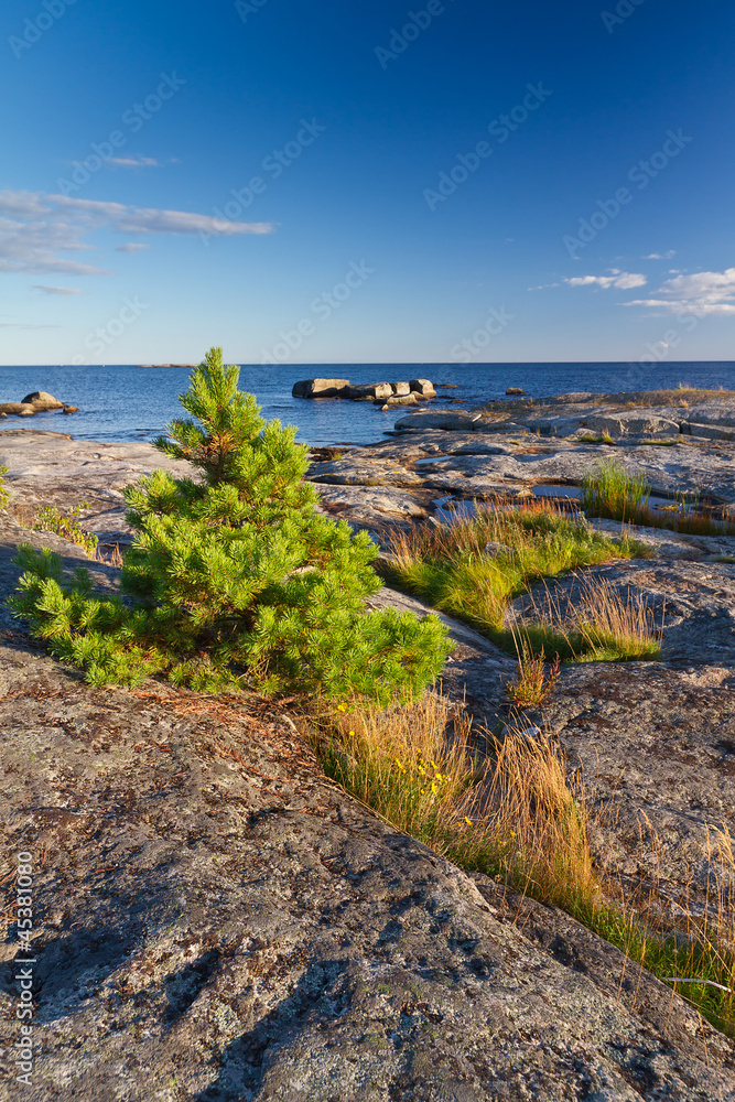 Rocky Baltic Sea coastline in Sweden