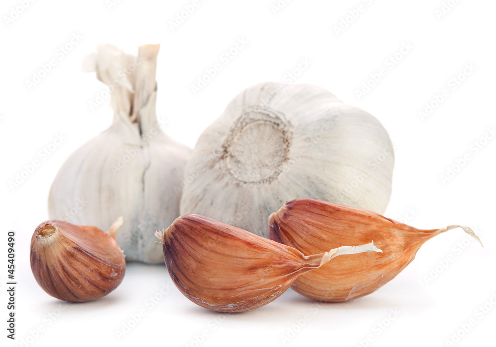 Garlic