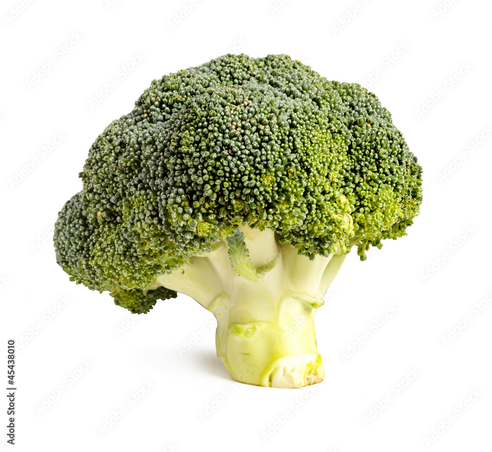 Fresh broccoli on white