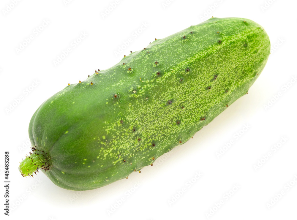 Cucumber on white