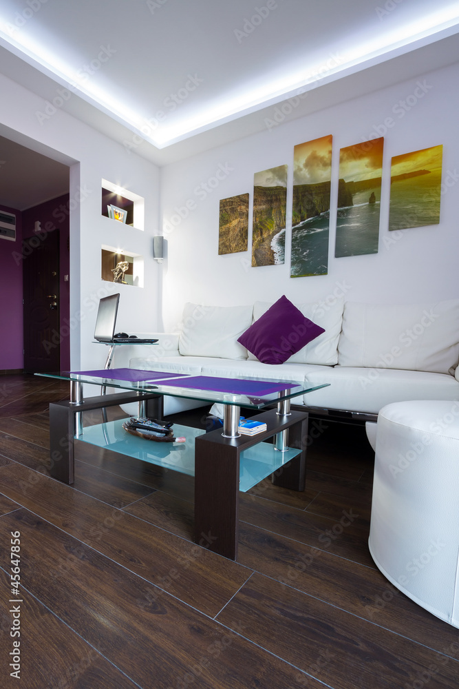 Modern lliving room interior with Cliffs of Moher picture