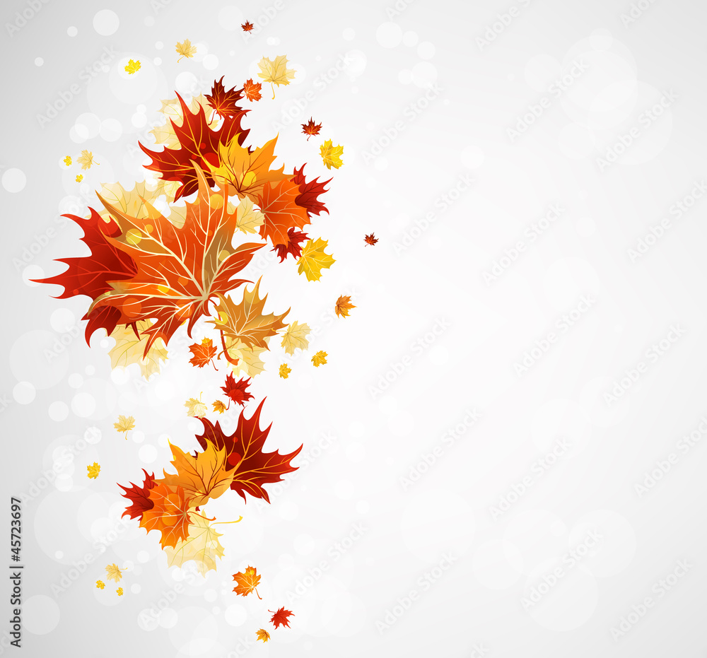 Background with autumn leaves