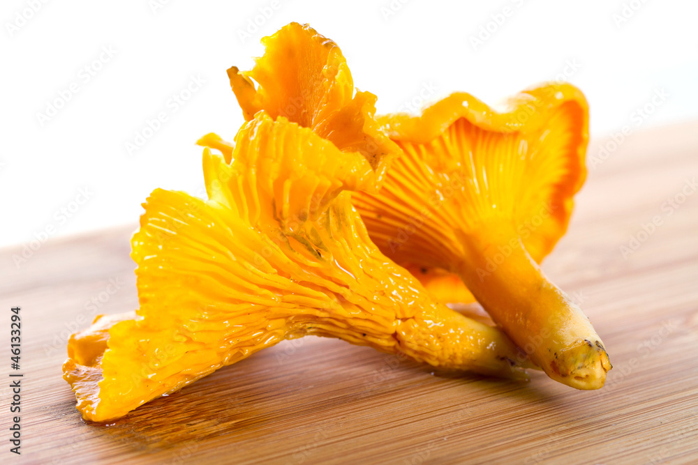 Golden chanterelle fungus on the cutting board