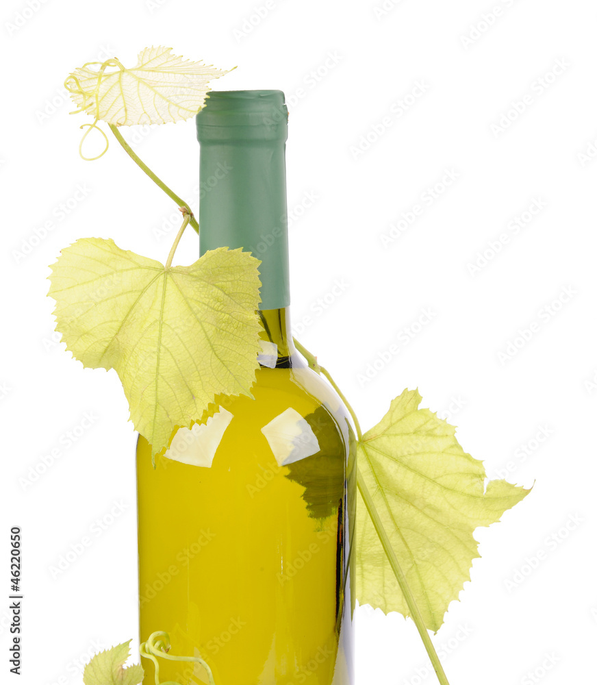 White wine bottle and grapes leaf