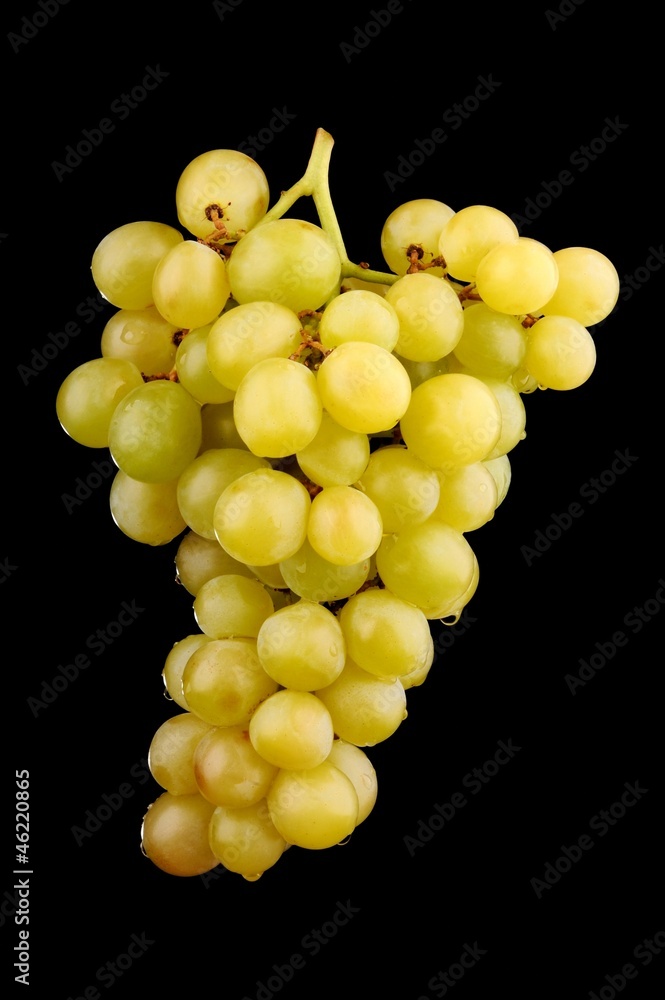 Fresh green grapes